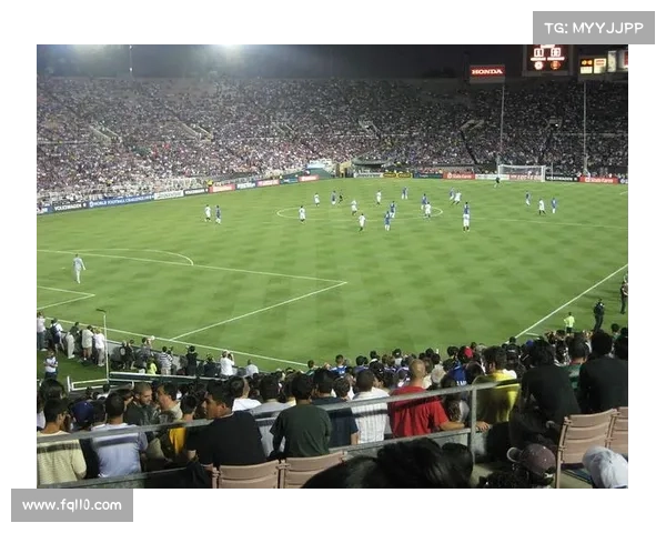 2016年足球是什么杯