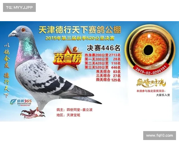 2018年路喜德公棚获奖鸽照片