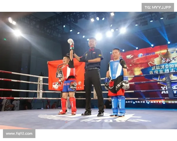 中国有什么格斗赛事可以参加